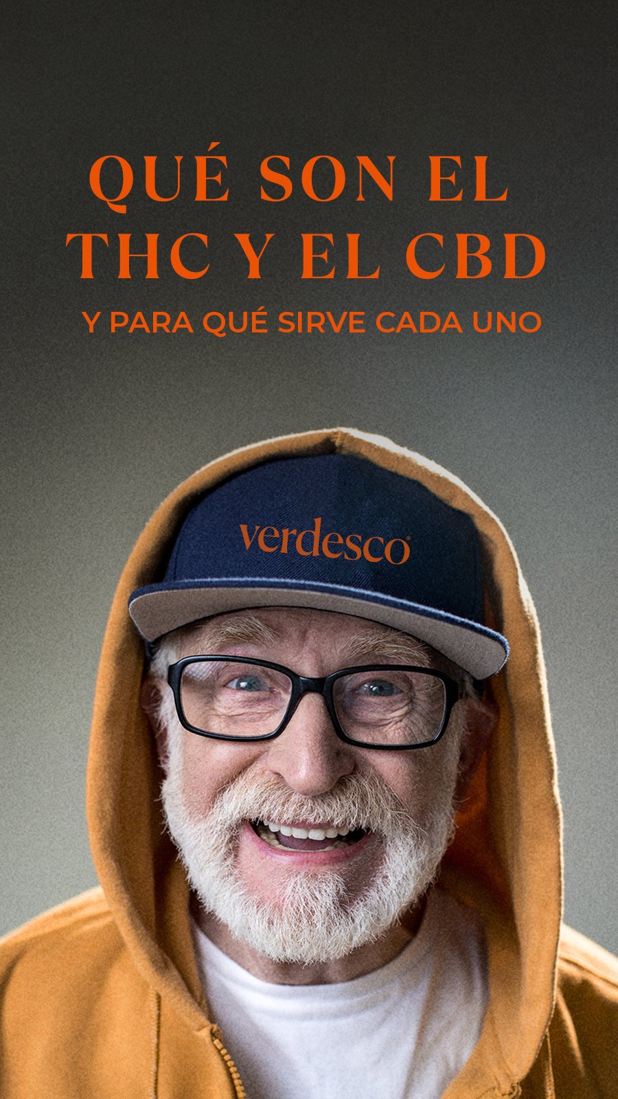 Social Media Stories