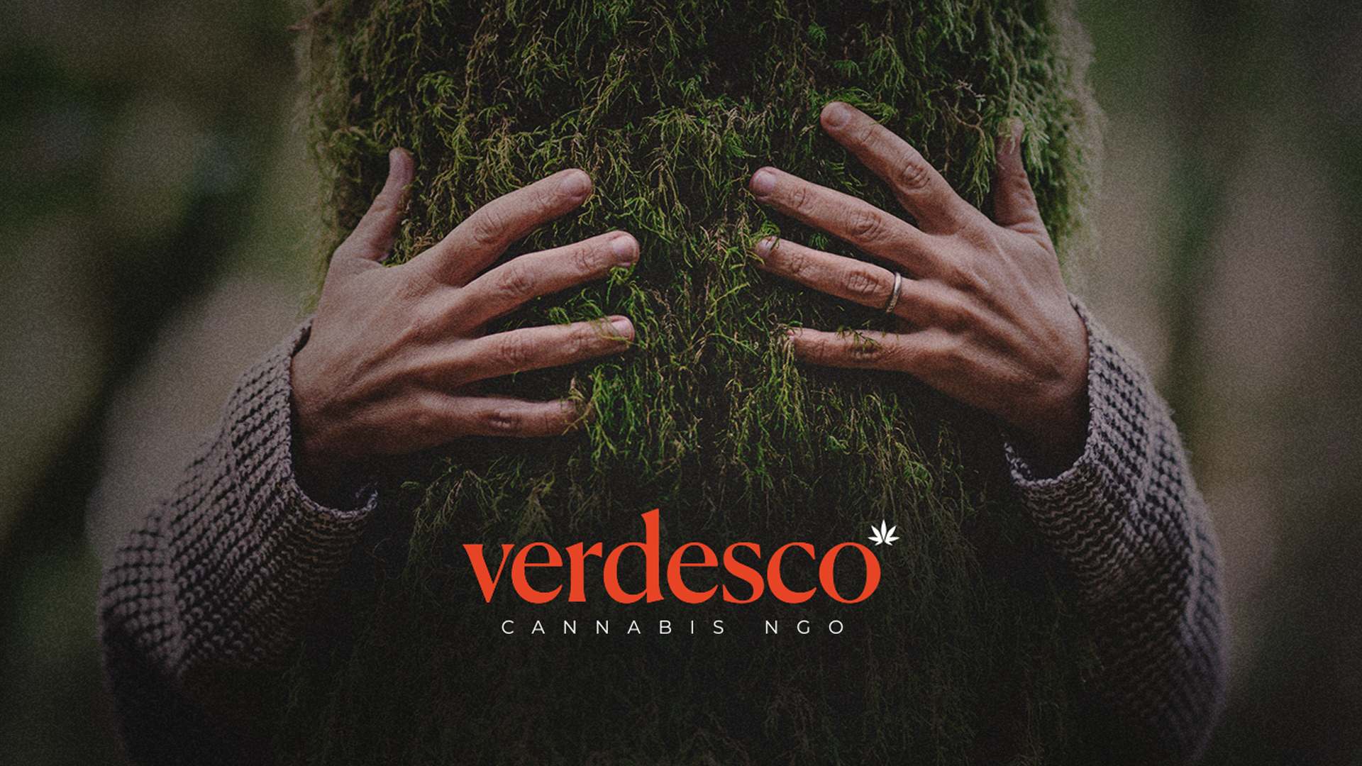 Verdesco
